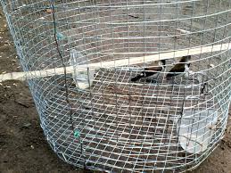 Para pecinta burung setia dengan hobi mereka tentu akan langkah #1 cara membuat sangkar burung. Cara Bikin Kandang Burung Dari Kawat Tentang Kolam Kandang Ternak