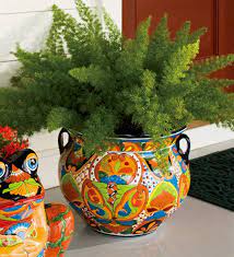 Foxtail Fern In Talavera Pot Love Mexican Pottery Flower Pots Mexican Garden