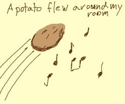 A potato flew around my room lyrics. A Potato Flew Around My Room Drawception