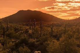 Please choose a different date. Airbnb Mesa Arizona 14 Stunning Homes Vacation Rentals
