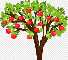 Gambar pohon mangga kartun lucu mango tree cartoon pictures wallpaper menggambar pohon pohon pohon buah. Apel Siklus Hidup Biologis Bibit Pohon Pohon Apel Makanan Alami Makanan Stroberi Png Pngwing