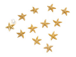 Décors étoiles et coquillages 4 produits. Etoiles De Mer Decoration En Ivoire Adhesives Deco Mer