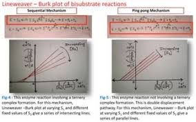 Advantages Of Lineweaver - Advantages Of Lineweaver-Burk Plot.A Advantages  Of Lineweaver-Burk Plot Linear Reltionship Makes Determining Vmax And Km  Easy | Course Hero