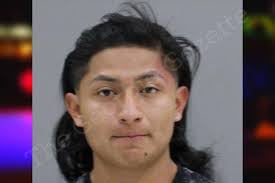 Nelson Pop Cal — Rabun County Jail Bookings