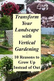 How to make a vertical garden at home. Transform Your Landscape With Vertical Gardening Grow More Food In Less Space