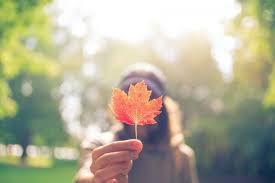 Temperature in canada varies widely from region to region. Clima No Canada Durante O Ano Tudo O Que Voce Precisa Saber Sobre
