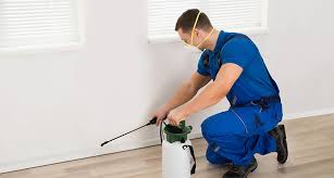 To find the best licenced pest control services in doha, visit servicemarket. Termite Control 10 Questions To Ask When Booking Pest Control Services In Dubai The Home Project Servicemarket