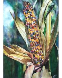 Hyperrealism Watercolor League On Instagram Meeta Dani Watercolor Watercolour Watercolorpainting Corn Painting Watercolor Paintings Watercolor Pictures