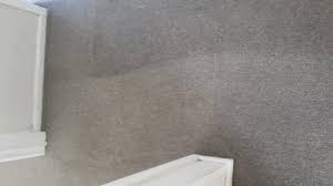 Be it any pest you may find at home. Carpet Cleaning Caloundra And Pest Conrtol From 15 A Room