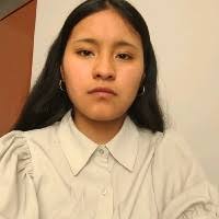 2 "Diana Samira Escobar Yanapa" profiles