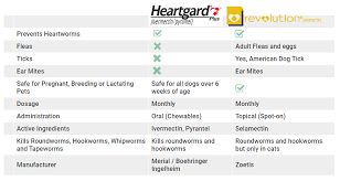 Heartgard Plus Vs Revolution A Complete Comparison