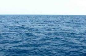 Dapatkan informasi, inspirasi dan insight di email kamu. 11 Manfaat Laut Bagi Kehidupan Manusia Manfaat Co Id