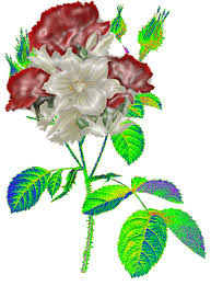 Whether your pages are personal or educational, you are welcome to use our gifs to enhance your website. Animated Garden Gif Transparent