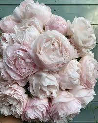 Pin On Wedding Flowers