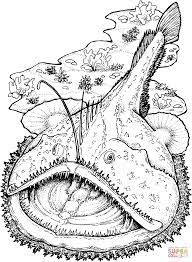 Creatures of beauty coloring book. Sea Fish Coloring Pages Coloring Home