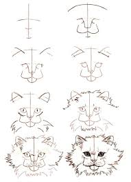 In this easy drawing tutorial i will walk you through all the steps to create this tropical sunset scene in procreate. 20 Easy Cat Drawing Step By Step Tutorials Simple Cat Sketch