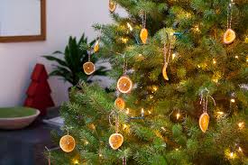 Check spelling or type a new query. Recipe Dried Orange Ornaments Maria Zizka