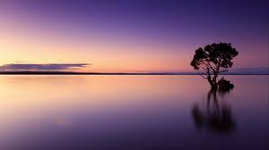 Sunset wallpapers, backgrounds, images— best sunset desktop wallpaper sort wallpapers by: Sunset Full Hd Hdtv Fhd 1080p Wallpapers Hd Desktop Backgrounds 1920x1080 Images And Pictures
