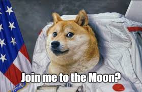 이어 머스크는 그들이 도지코인 계좌를 15일 현재 도지코인 가격은 다소 하락한 0.05달러 선이다. Yjamunjzuimt8m