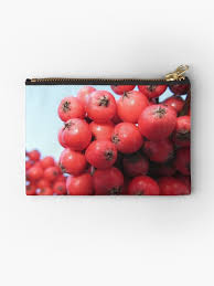 Rote Beeren Am Strauch Im Garten Beere Natur Taschchen Von Rhnaturestyles Rote Beeren Clutch Rot Beeren