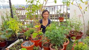 (just don't pick them from public parks or gardens!) 5. Garden Stories Edible Flower Enthusiast Joanna Chuah The Tender Gardener