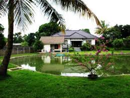 Investasi properti kampung halaman atau pun di kota besar prosesnya mungkin tidak begitu berbeda. Gambar Halaman Rumah Kampung Yang Cantik Home Desaign