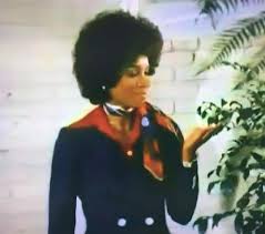 The Horn Section: Television Review: GET CHRISTIE LOVE!: "Bullet From the  Grave" (1974)