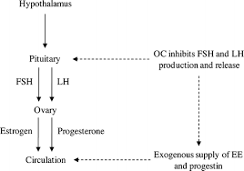 You cannot withdraw any amount from your bonus wallet. Effects Of Female Reproductive Hormones On Sports Performance Springerlink