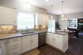 cosmetic kitchen 101 case indy