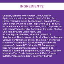 Iams Proactive Health Healthy Kitten Chicken Dry Cat Food 16 Lb