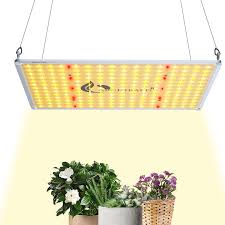 Save up to 50% in cooling and power expenses. China 8 Year Exporter 400 Watt Hps Grow Light Plant Grow Light Horticulture Light For Green House Archibald Factory And Manufacturers Archibald
