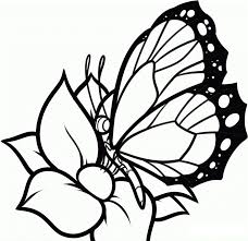 Today, we're using coloring pages of butterflies from coloring book cafe to complete a unique 3d art piece! Flower Free Printable Butterfly Flower Free Printable Printable Coloring Pages Novocom Top