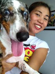 Don Mhaku🐕❤️😍🥰✌️ Margie Ibuyat Ramos #dogs #dog #doglover