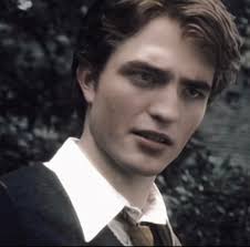 Majestic cat's royal appearance