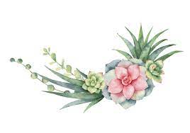 Download Free Watercolor Succulent Clipart Clipart World