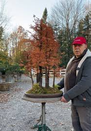 Image result for Autumn Gold Dark 1983 Caloric