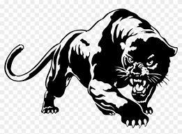 Check spelling or type a new query. Panther Png Picture Black Panther Animal Drawing Transparent Png 800x557 144957 Pngfind