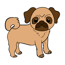 Find & download free graphic resources for pug dog. Easy Drawing Of A Pug Novocom Top
