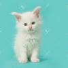 Discover (and save!) your own pins on pinterest 1