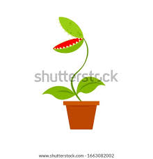 I bought a venus fly trap lovingly named mario by my 5 year old step son (as there are venus fly trap like plants in super mario). Venus Flytrap Super Mario Bros Bday Party Super Venus Fly Trap Clipart Stunning Free Transparent Png Clipart Images Free Download