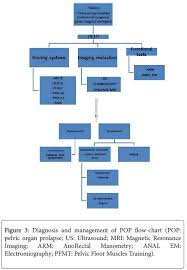 Pelvic Organ Prolapse Pop Working Group Siccr Doubts