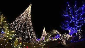 Senske Light Show Christmas Light Show Christmas Lights Images Christmas Lights For Sale