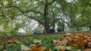 Le calendrier grégorien, que nous utilisons actuellement, date de la fin du 16e siècle. Pourquoi Cette Annee L Automne Commence Le 23 Septembre