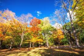 Maybe you would like to learn more about one of these? 25 Best Things To Do In Rochester New York