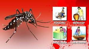 Hit obat nyamuk aman bagi keluarga republik seo. Bukan 3m Lagi Untuk Membasmi Dbd Melainkan 4m Health Liputan6 Com