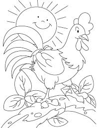 Mewarnai Gambar Ayam Jago Gambar Hewan Warna Kartun