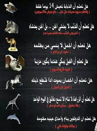 B1dc14a406d87d87cb9465e734113166 Jpg 539 720 Pixel Cool Words Wisdom Quotes True Words