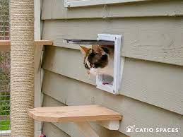 Cat Door For Your Catio By Spaces