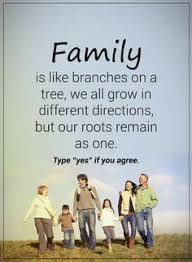 See more ideas about family tree, family tree quotes, family history quotes. Quotes Family Is Like Branches On A Tree We All Grow In Different Directions But Our Roots Remain As One My Family Quotes Family Quotes Power Of Positivity
