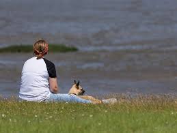 0 mm punctul de roua: Meteo Prognoza Pentru UrmÄƒtoarele 2 SÄƒptÄƒmani Maxime De 15 Grade Apoi VariaÅ£ii Termice